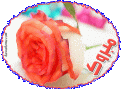 Click image for larger version

الاسم:	pic_2004-05-28_145124.gif
Views:	747
Size:	93.6 KB
ID:	444714