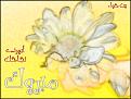 Click image for larger version

الاسم:	Najaah58.jpg
Views:	514
Size:	116.3 KB
ID:	444721