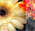 Click image for larger version

الاسم:	nhuuut.jpg
Views:	345
Size:	60.5 KB
ID:	444723