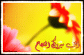 Click image for larger version

الاسم:	pic_2004-06-08_070852.gif
Views:	520
Size:	110.8 KB
ID:	444728