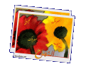 Click image for larger version

الاسم:	pic_2004-06-08_073040.gif
Views:	481
Size:	71.0 KB
ID:	444730