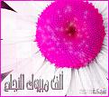 Click image for larger version

الاسم:	m3.jpg
Views:	3693
Size:	212.1 KB
ID:	446612