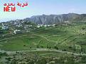 Click image for larger version

الاسم:	¤???? ????¤.jpg
Views:	1716
Size:	36.7 KB
ID:	446629